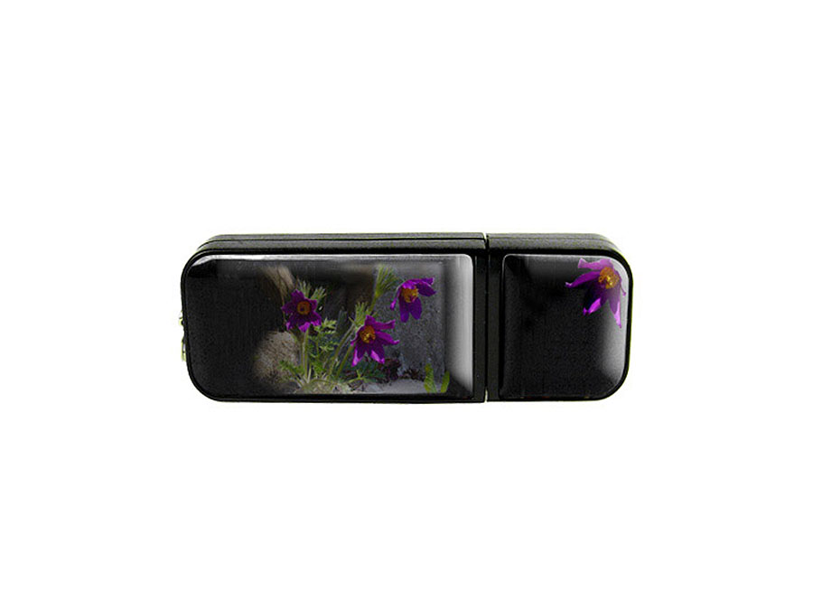 Doming USB-Stick mit 3D Fotomotiv