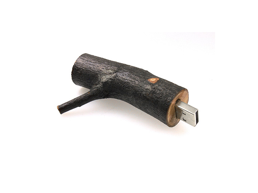nachhaltiger Holz USB Stick mit Branding für Reseller