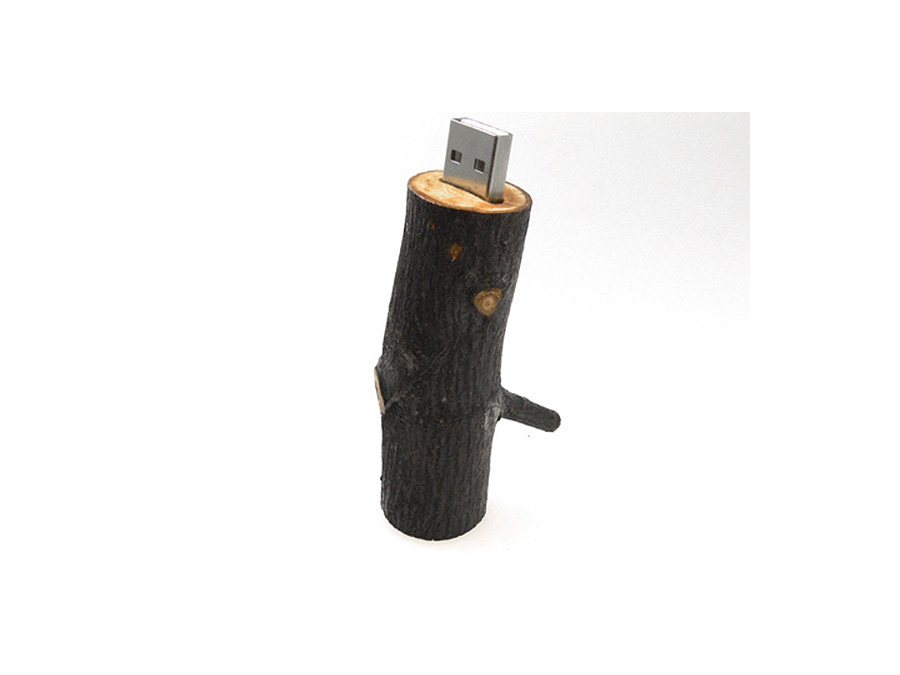 nachhaltiger Holz USB Stick mit Logo für Wiederverkäufer