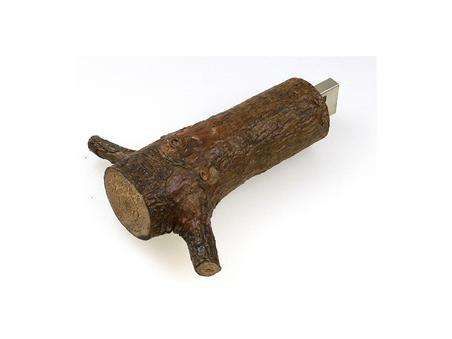 nachhaltiger Holz USB Stick mit Logo für Reseller