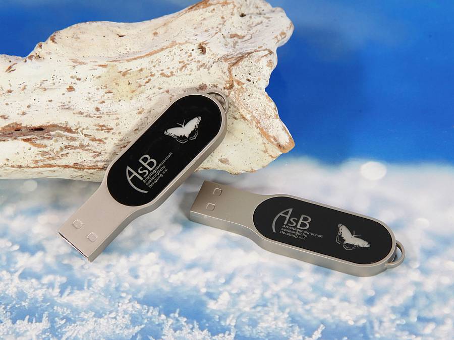 USB-Stick mit elegantem Design und individuellem Logo-Bereich für personalisierte Werbung. Ideal für Firmenpräsentationen.
