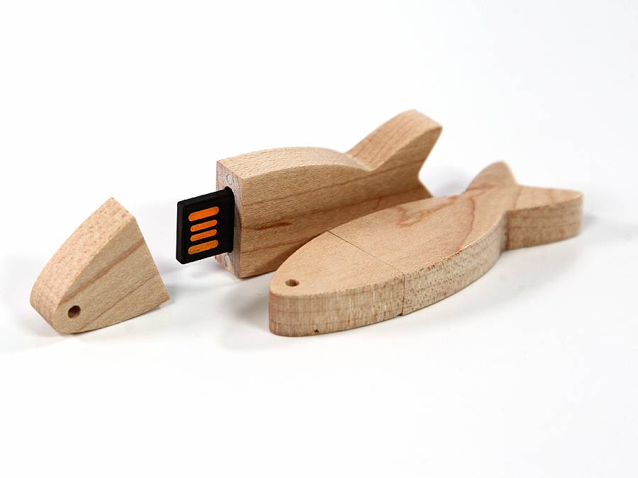 usb stick fisch