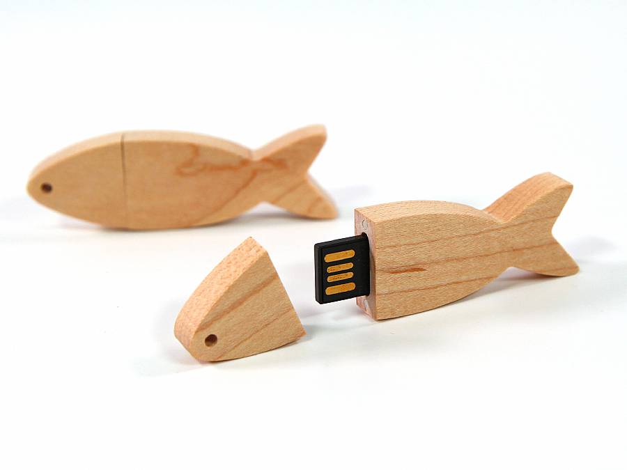 usb stick fischform