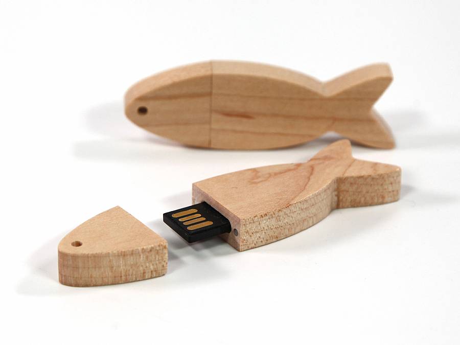 usb stick forelle