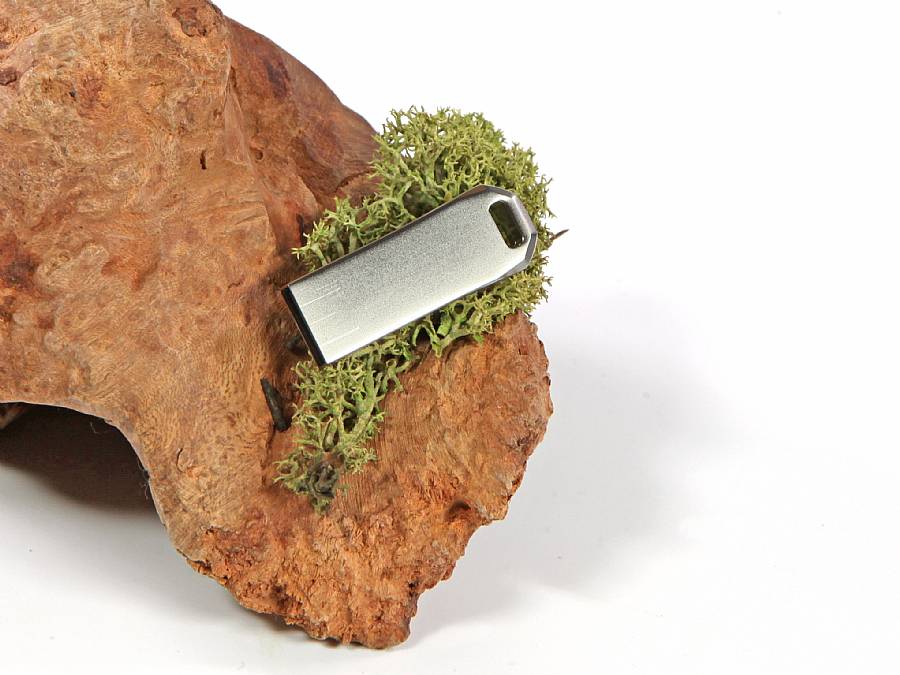 USB-Stick in mattem Metall-Design, ideal für individuelles Branding und Promotion. Kompakt und stilvoll auf natürlichem Untergrund platziert.