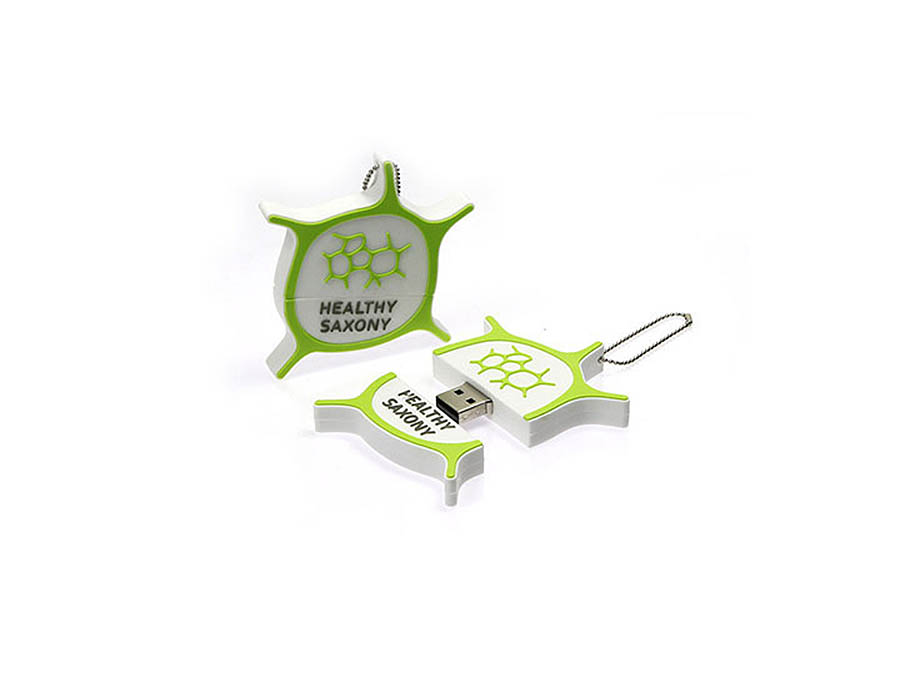 Healthy Saxony Logo USB-Stick