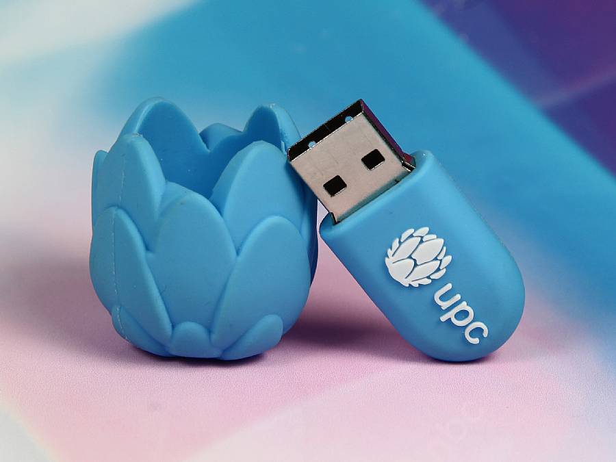 usb stick lotus bluete blume wellness logo