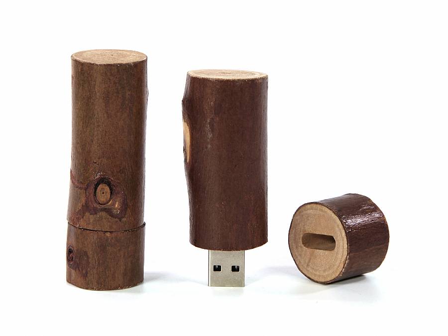 USB-Stick Holzstamm im Wald