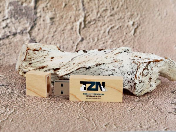 USB-Stick aus Holz mit personalisiertem Logo für Tierarztpraxis, umweltfreundlich und modern gestaltet.