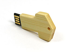 Holz schlüssel Key USB-Stick mit Logodruck